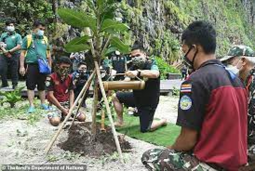 Take me back to the beach! A beautiful Thai cove made famous by the famous film starring Leonardo DiCaprio, will reopen after a three-year coral rejuvenation project