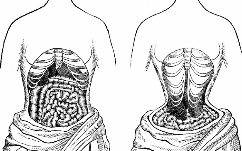 Take on the chest: la historia mundial del sujetador
