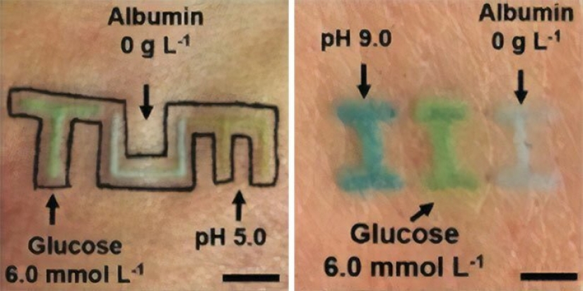 Tattoo on the guard of health: German scientists have created biosensory tattoos
