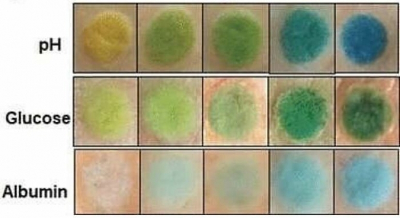 Tatuaje en la guardia de la salud: Científicos alemanes han creado tatuajes biosensoriales