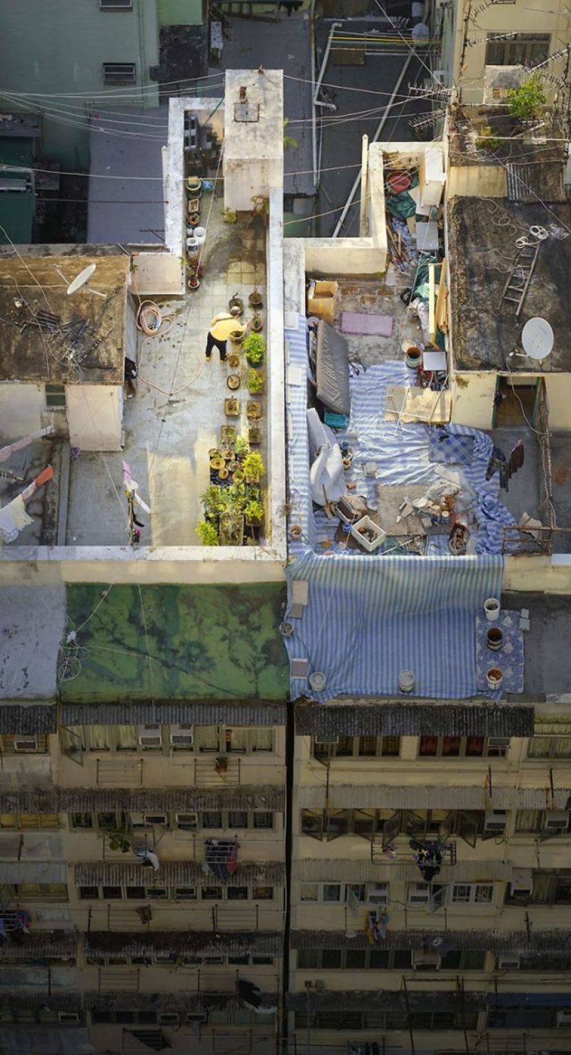Tejados de hong kong