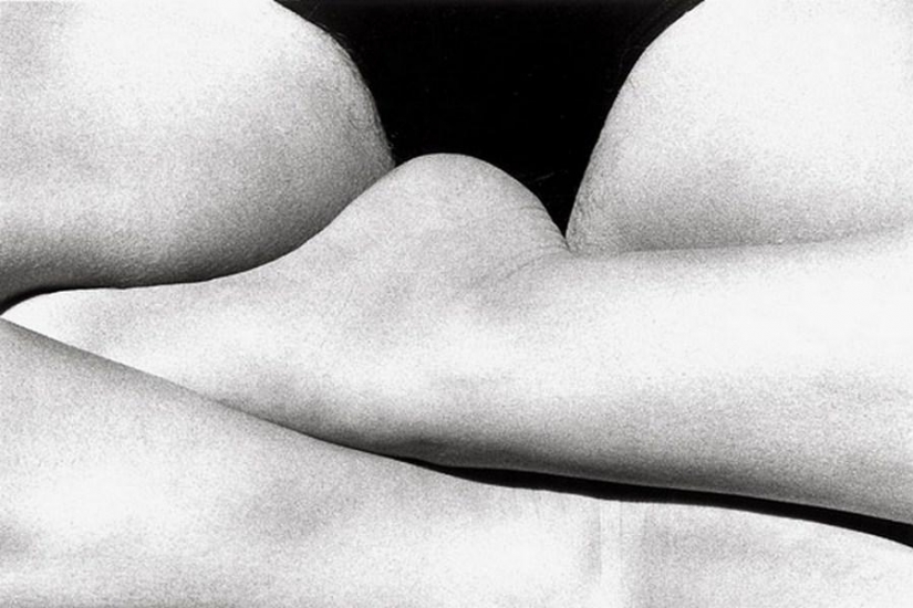 The 25 best erotic pictures of Ralph Gibson The 25 best erotic pictures of Ralph Gibson