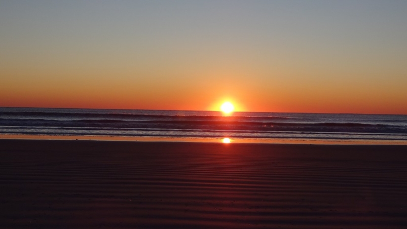 The 25 Strangest Things Sold on eBay