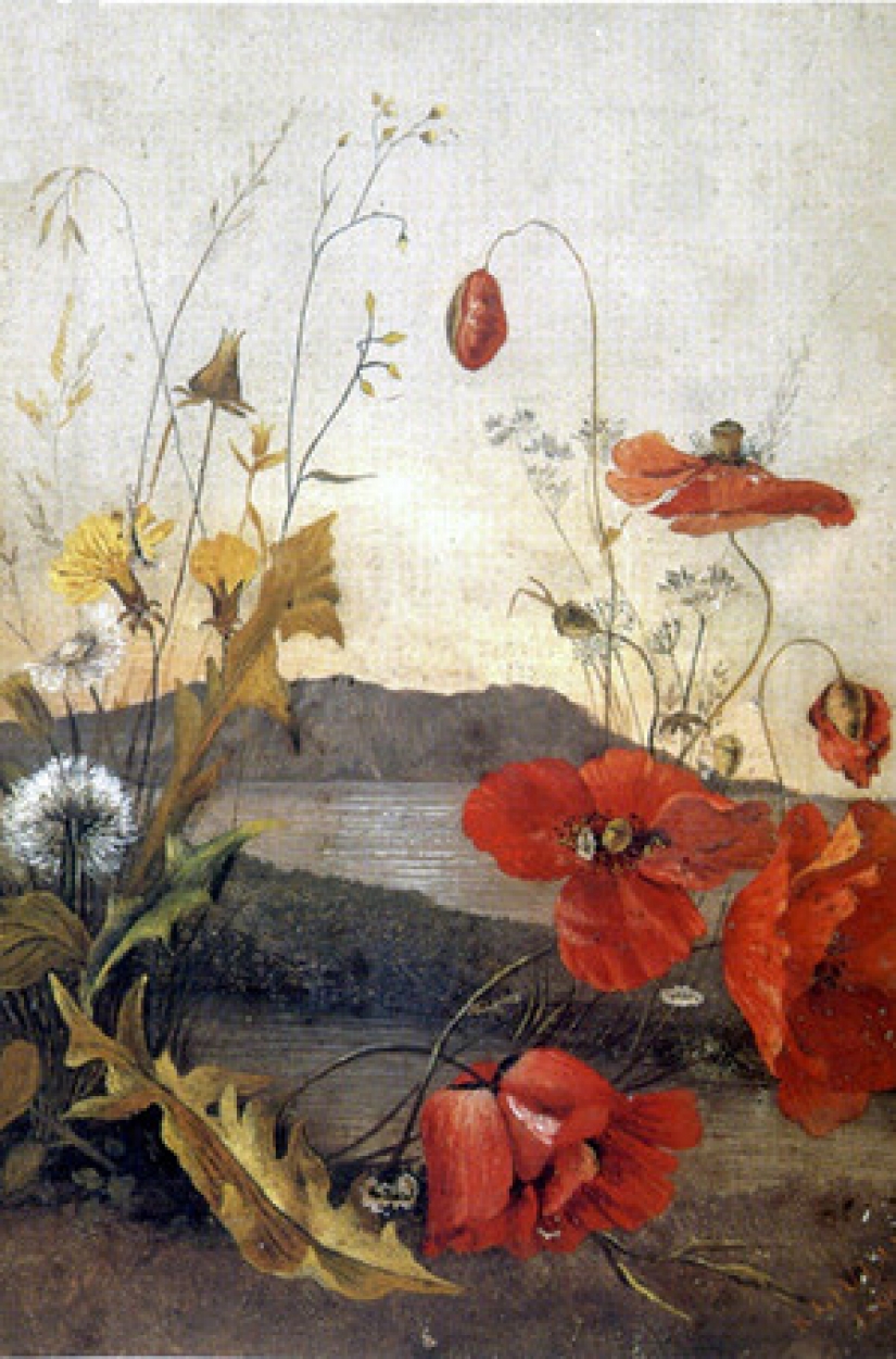 The Annexed Paradise: The Life and death of the last Princess of the Hawaiian Kingdom The Annexed Paradise: The Life and death of the last Princess of the Hawaiian Kingdom