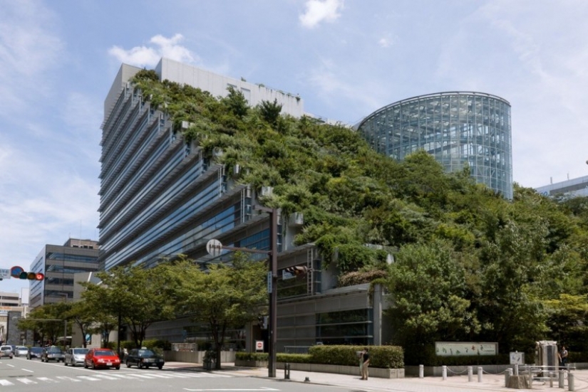 The architects of these houses have proved that the garden can break even on the roof