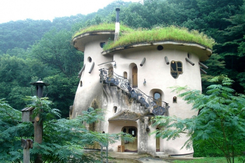 The architects of these houses have proved that the garden can break even on the roof