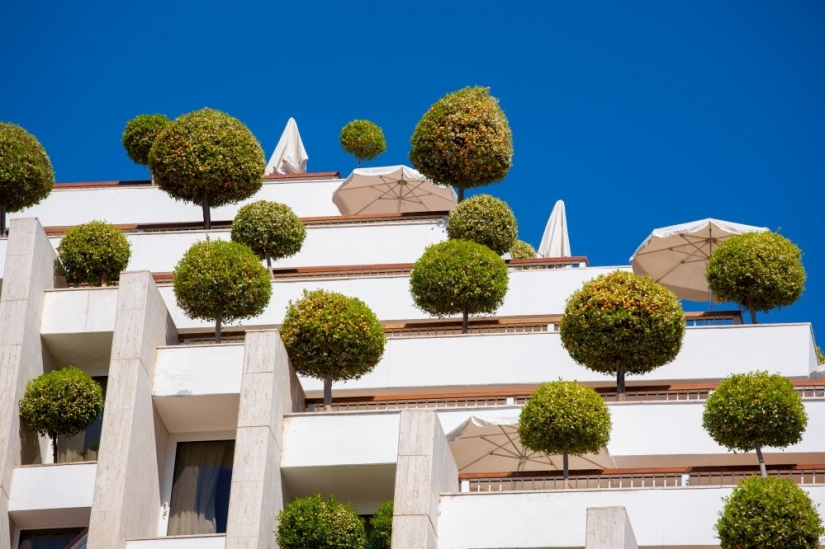 The architects of these houses have proved that the garden can break even on the roof