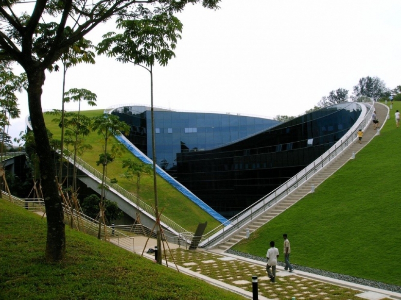 The architects of these houses have proved that the garden can break even on the roof