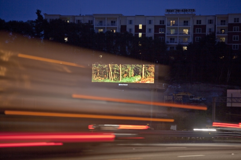 The artist bought a huge billboard to show the beauty of nature