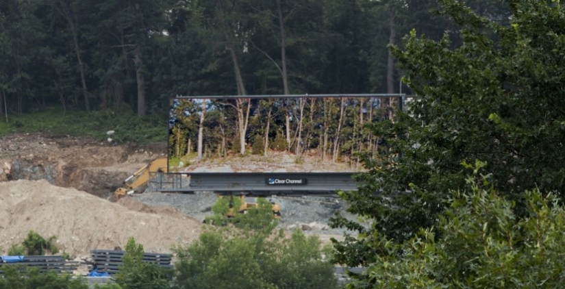 The artist bought a huge billboard to show the beauty of nature
