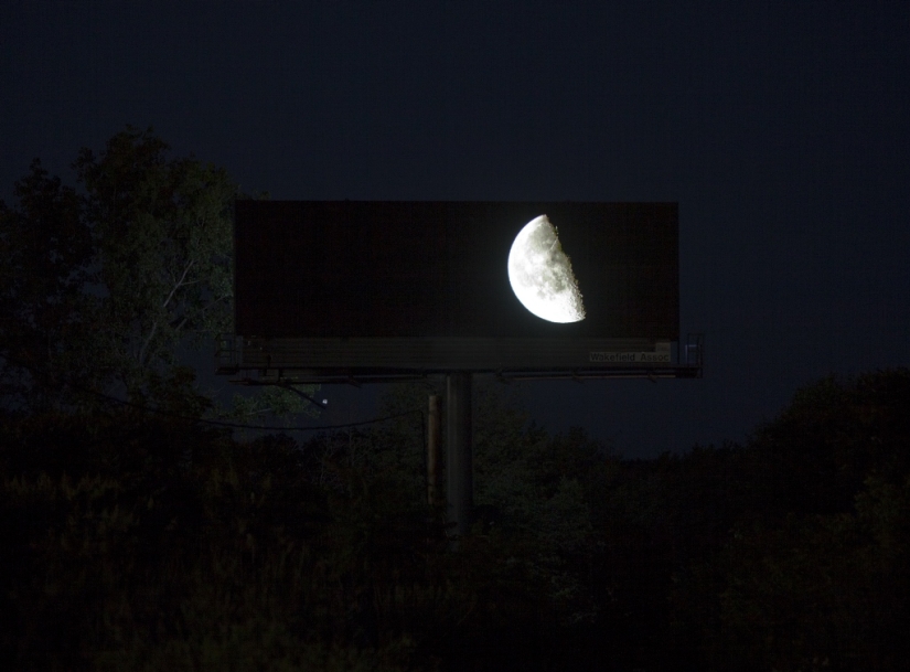 The artist bought a huge billboard to show the beauty of nature