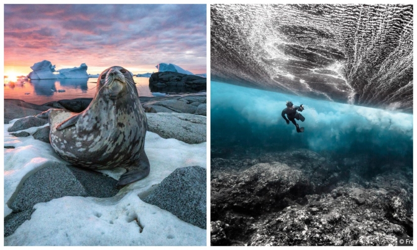 The beauty and power of the ocean in the photos of the winners of the Ocean Photography Awards 2020 The beauty and power of the ocean in the photos of the winners of the Ocean Photography Awards 2020