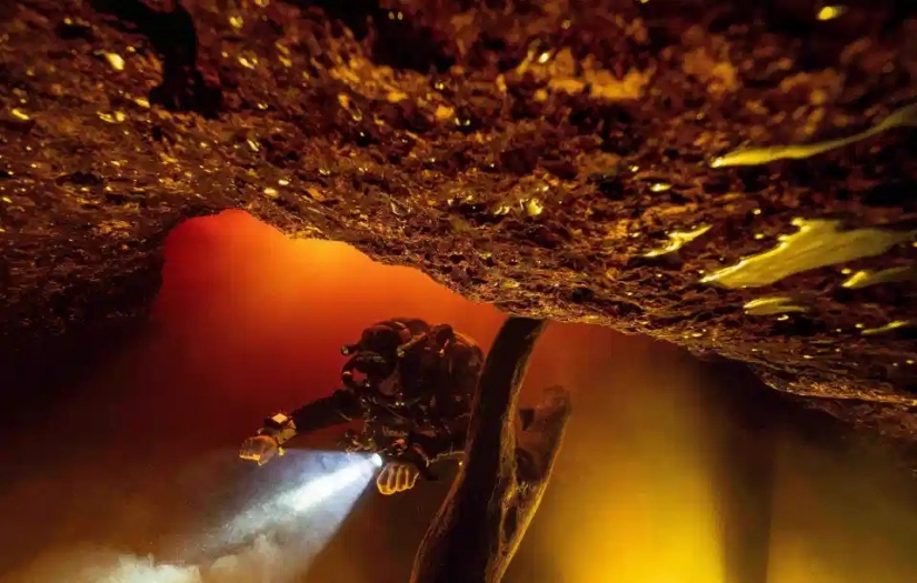 The beauty and power of the ocean in the photos of the winners of the Ocean Photography Awards 2020 The beauty and power of the ocean in the photos of the winners of the Ocean Photography Awards 2020