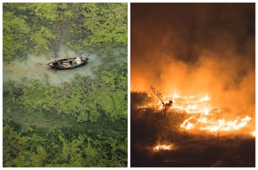 The best eco-photos from the Environmental Photographer 2021 contest The best eco-photos from the Environmental Photographer 2021 contest