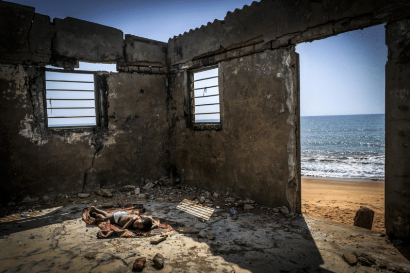 The best eco-photos from the Environmental Photographer 2021 contest The best eco-photos from the Environmental Photographer 2021 contest