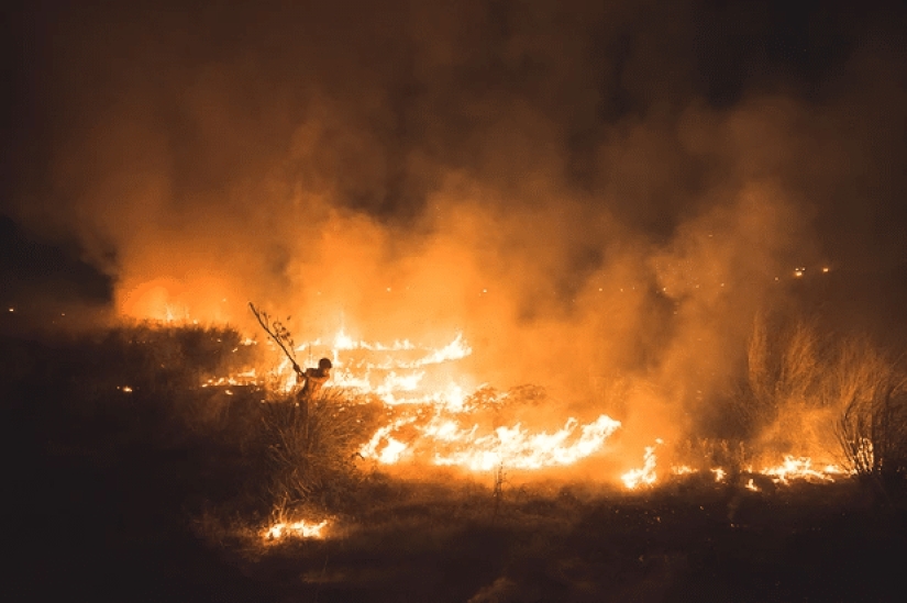 The best eco-photos from the Environmental Photographer 2021 contest The best eco-photos from the Environmental Photographer 2021 contest