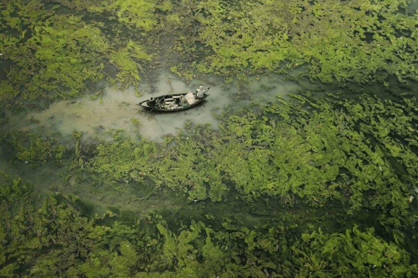 The best eco-photos from the Environmental Photographer 2021 contest The best eco-photos from the Environmental Photographer 2021 contest