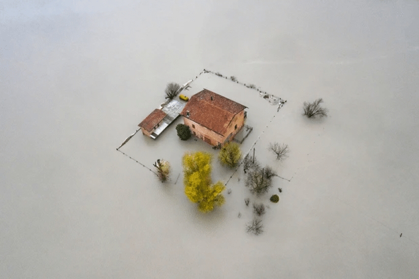 The best eco-photos from the Environmental Photographer 2021 contest The best eco-photos from the Environmental Photographer 2021 contest
