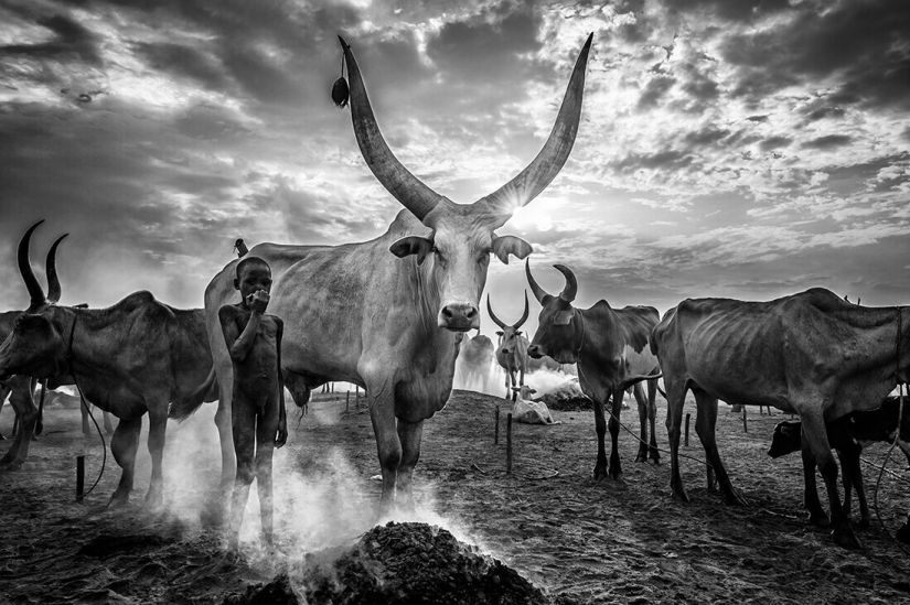The best photos from the monochrome photography contest MonoVisions Photography Awards 2021