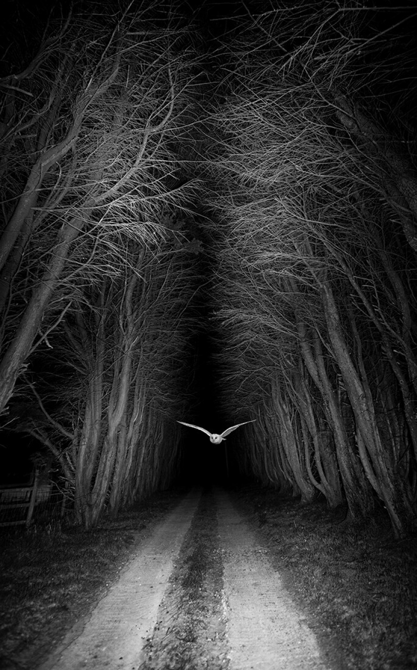 The best photos from the monochrome photography contest MonoVisions Photography Awards 2021