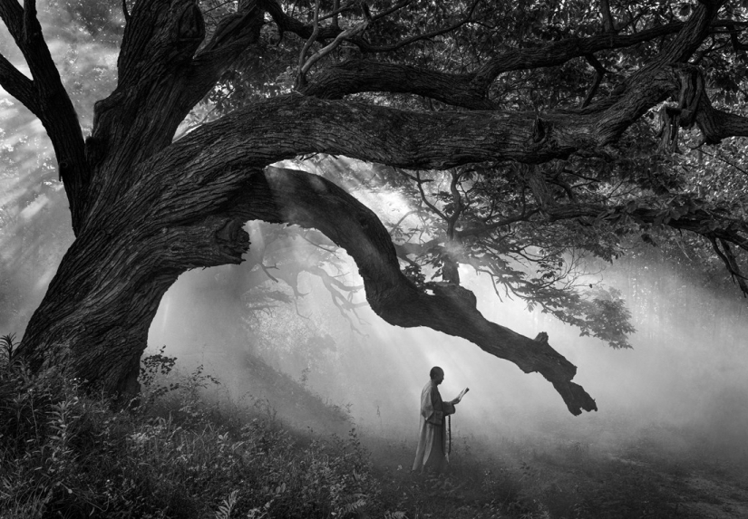 The best photos from the monochrome photography contest MonoVisions Photography Awards 2021