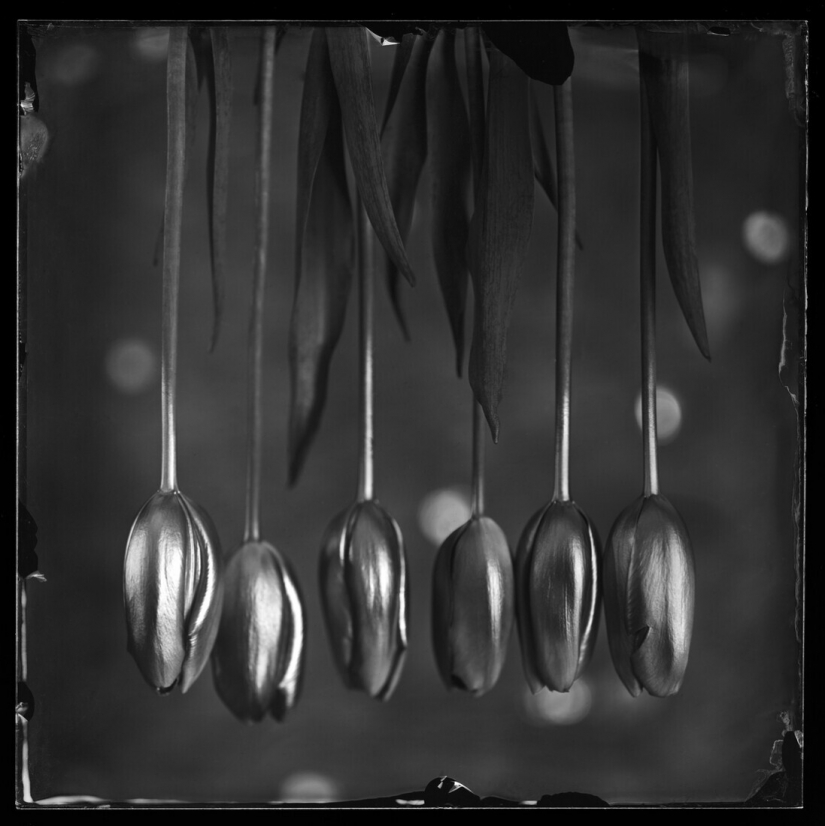 The best photos from the monochrome photography contest MonoVisions Photography Awards 2021