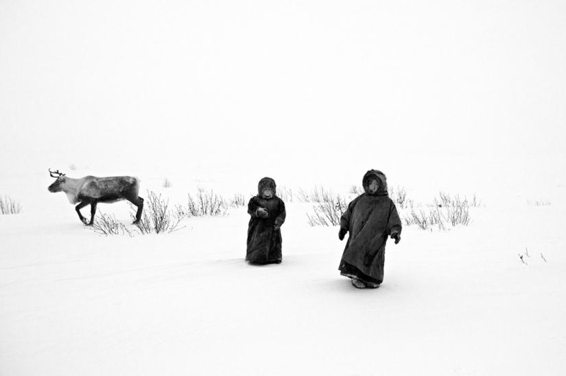 The best photos from the monochrome photography contest MonoVisions Photography Awards 2021