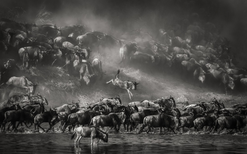 The best photos from the monochrome photography contest MonoVisions Photography Awards 2021