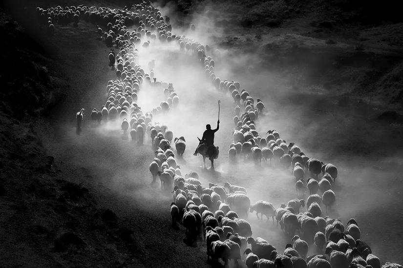 The best photos from the monochrome photography contest MonoVisions Photography Awards 2021