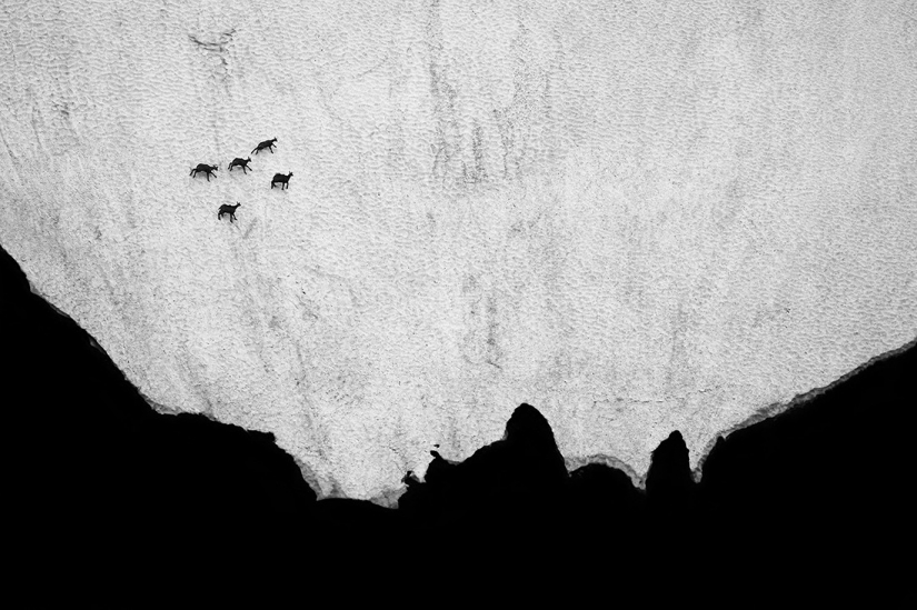 The best photos from the monochrome photography contest MonoVisions Photography Awards 2021