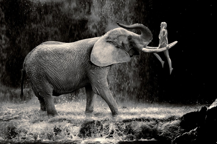 The best photos from the monochrome photography contest MonoVisions Photography Awards 2021