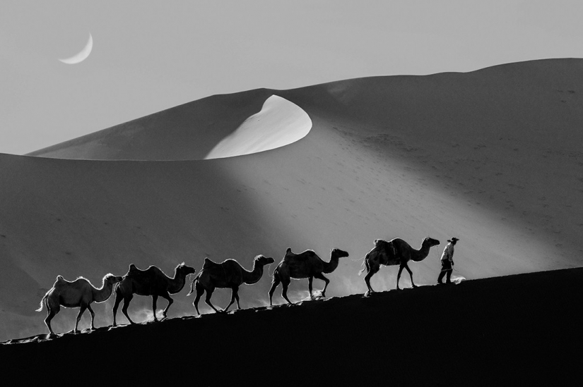 The best photos from the monochrome photography contest MonoVisions Photography Awards 2021