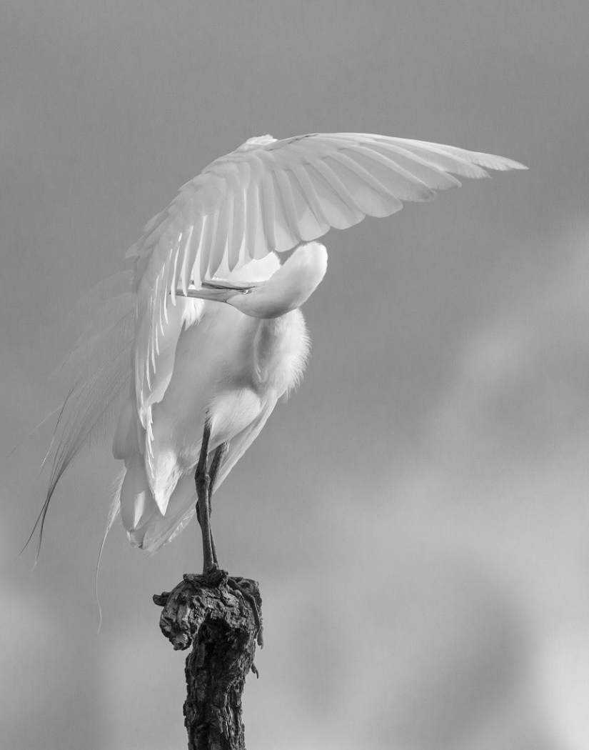 The best photos from the monochrome photography contest MonoVisions Photography Awards 2021