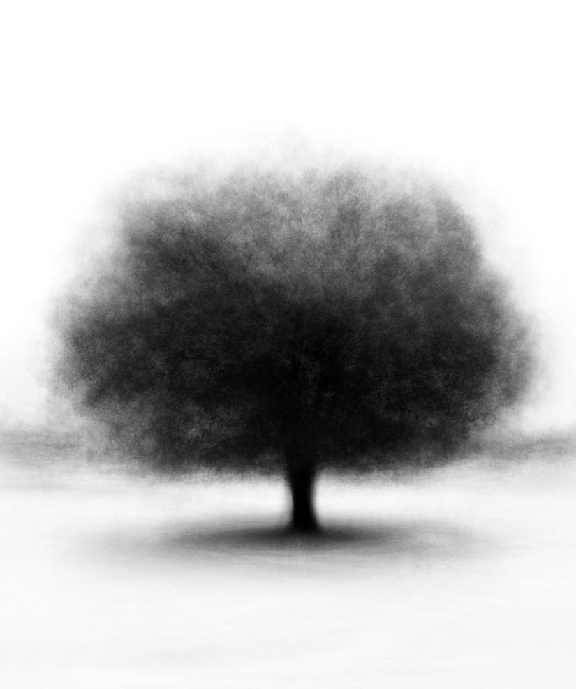 The best photos from the monochrome photography contest MonoVisions Photography Awards 2021