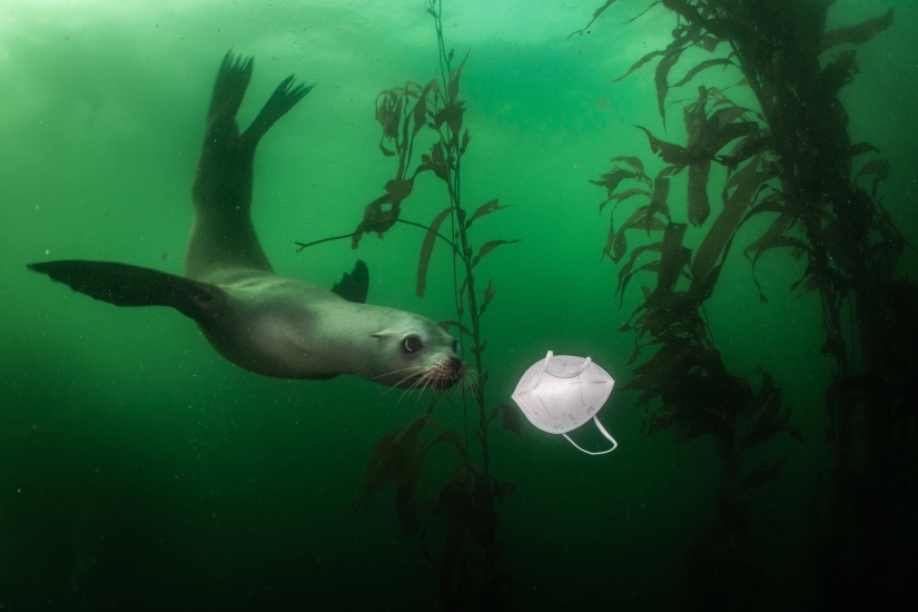 The best photos of the World Press Photo contest 2021