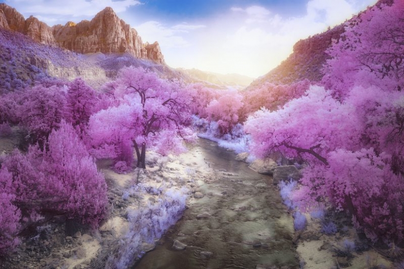 The best works of infrared photography contest Life in Another Light The best works of infrared photography contest Life in Another Light
