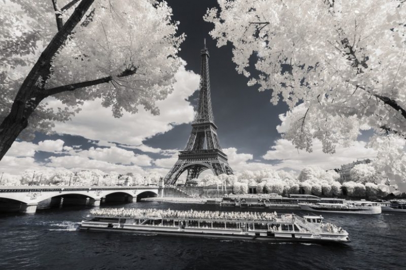 The best works of infrared photography contest Life in Another Light The best works of infrared photography contest Life in Another Light