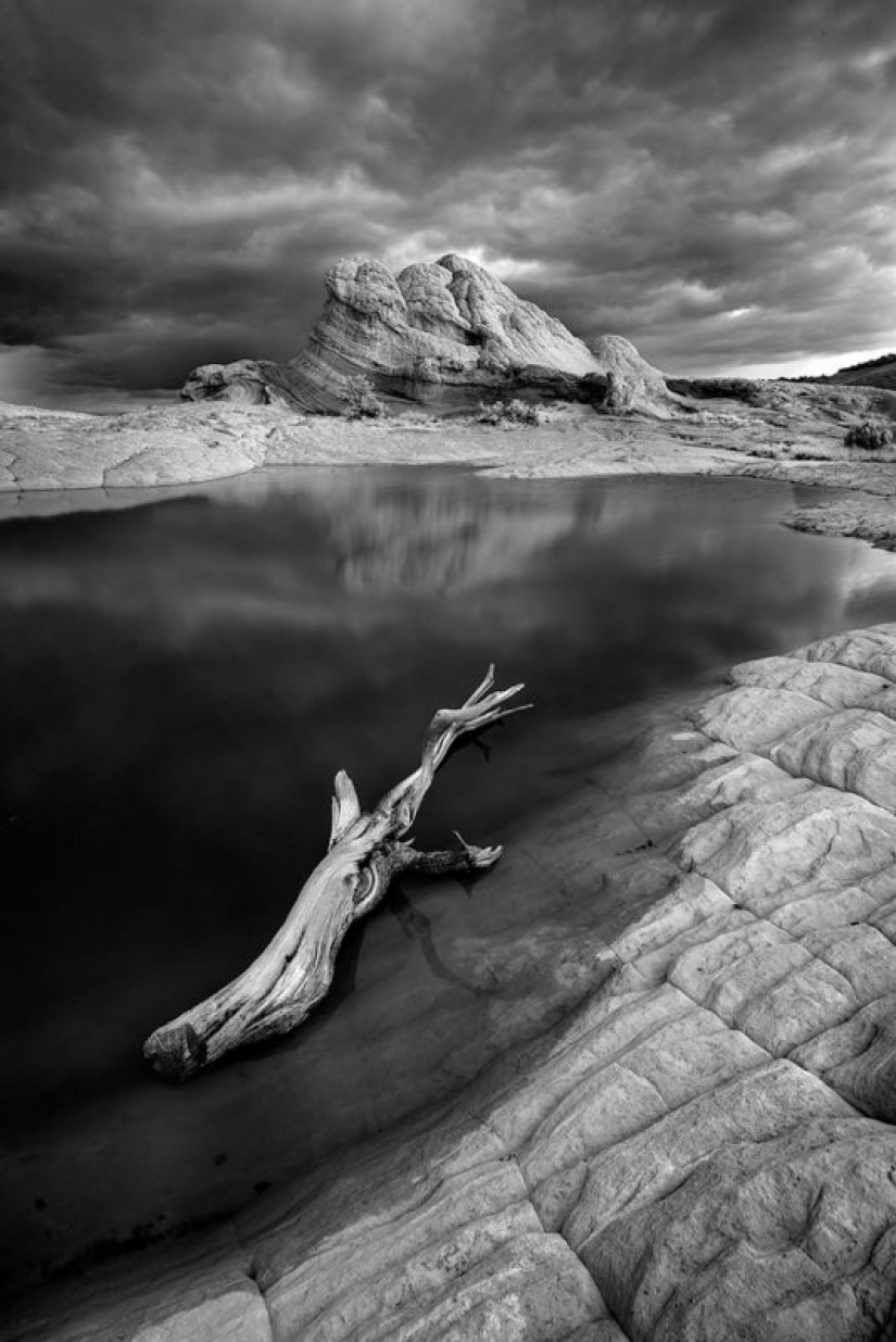 The best works of infrared photography contest Life in Another Light The best works of infrared photography contest Life in Another Light