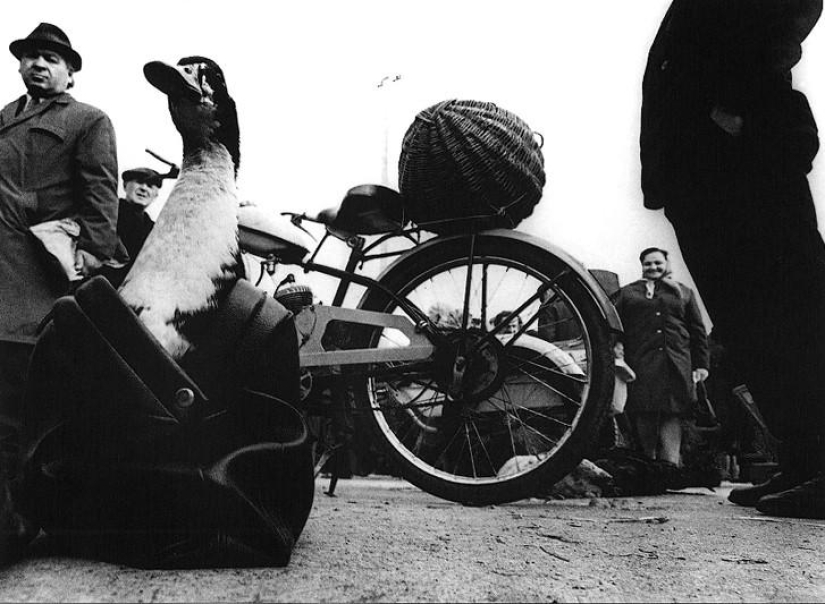 The best works of Soviet Lithuanian photographers