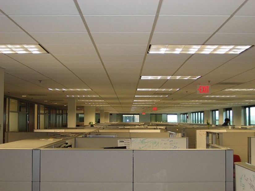 The Biggest Pros and Cons of Living in America