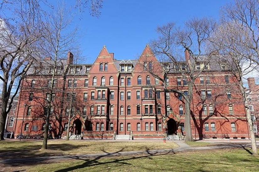 The Biggest Pros and Cons of Living in America