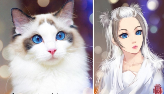 The Chinese artist turns cats and other animals in people, and it's incredibly