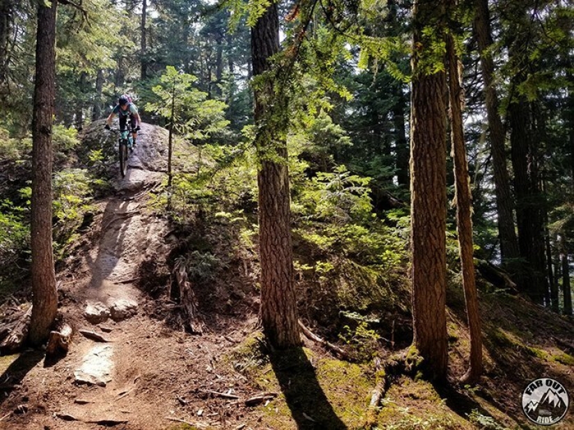 The couple exchanged a measured life in a never-ending journey