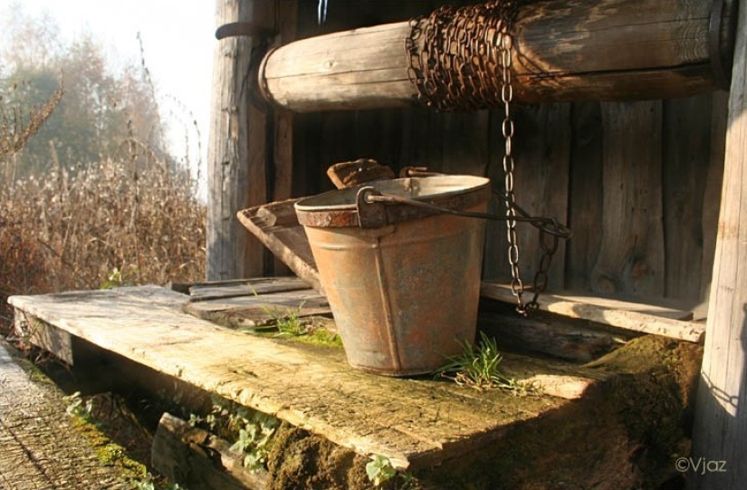 The death of a Petersburger after falling from the sofa and other deaths that cause confusion The death of a Petersburger after falling from the sofa and other deaths that cause confusion