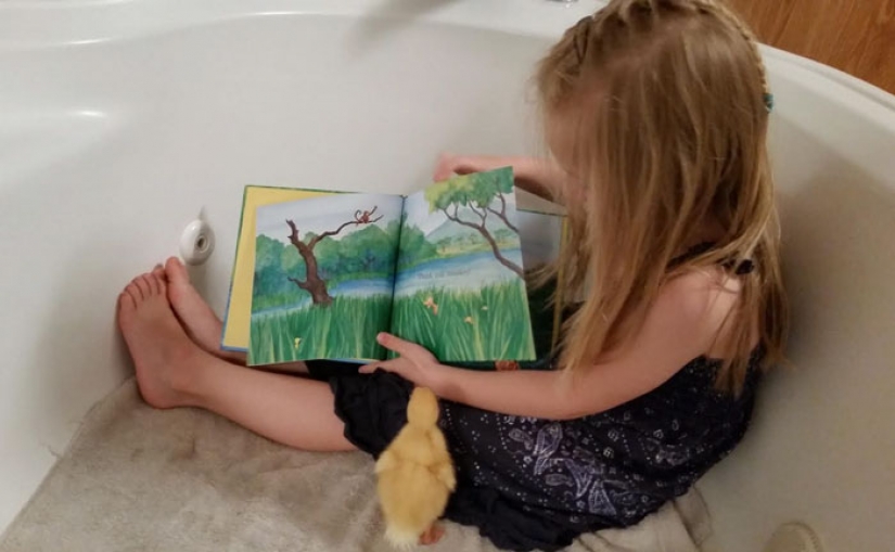 The duck considers a 5-year-old girl to be his mother The duck considers a 5-year-old girl to be his mother