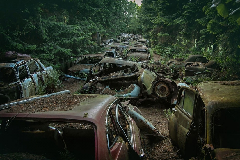 The German spent ten years searching all over Europe for cemeteries of old cars - from tractors to Mercedes The German spent ten years searching all over Europe for cemeteries of old cars - from tractors to Mercedes