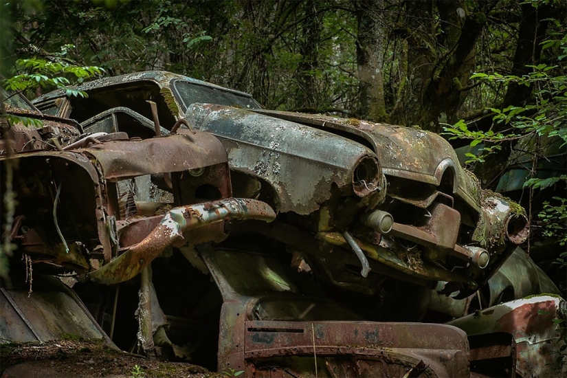 The German spent ten years searching all over Europe for cemeteries of old cars - from tractors to Mercedes The German spent ten years searching all over Europe for cemeteries of old cars - from tractors to Mercedes