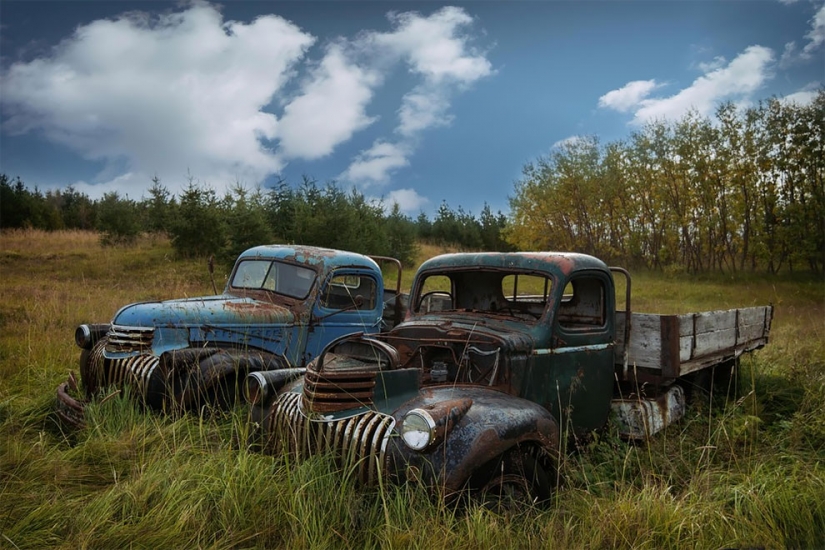 The German spent ten years searching all over Europe for cemeteries of old cars - from tractors to Mercedes The German spent ten years searching all over Europe for cemeteries of old cars - from tractors to Mercedes