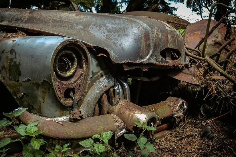 The German spent ten years searching all over Europe for cemeteries of old cars - from tractors to Mercedes The German spent ten years searching all over Europe for cemeteries of old cars - from tractors to Mercedes