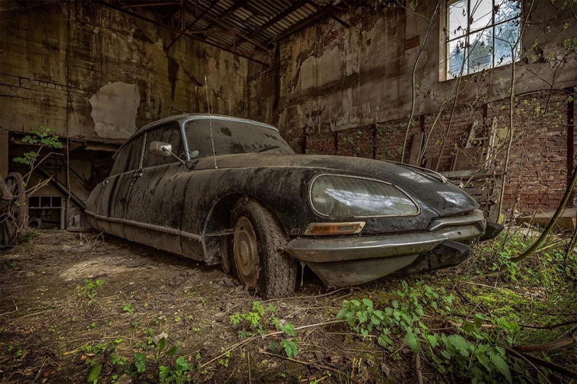 The German spent ten years searching all over Europe for cemeteries of old cars - from tractors to Mercedes The German spent ten years searching all over Europe for cemeteries of old cars - from tractors to Mercedes